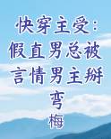 快穿主受：假直男总被言情男主掰弯在线阅读小说