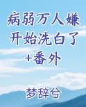《病弱万人迷[快穿]》城光以北