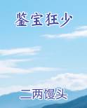 鉴宝狂少完整版小说