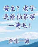 苦主?老子是修仙界第一黄毛免费阅读