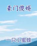 豪门傻婿免费