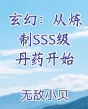 炼药炼丹的小说