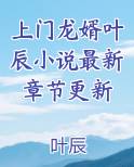 上门龙婿叶辰免费全文阅读 最新章节 无弹窗