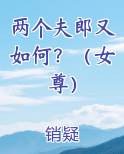 两个夫郎又如何？（女尊）