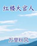 红楼大官人