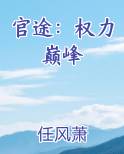 官途：权力巅峰