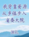我背靠资源从乡镇步入省委大院