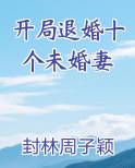 开局退婚十个未婚妻全文阅读