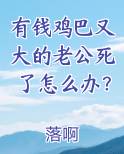 有钱鸡巴又大的老公死了怎么办？免费小说