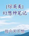 [综英美]幻想种笔记小说全文免费阅读