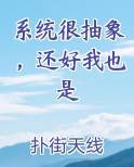 系统很抽象，还好我也是