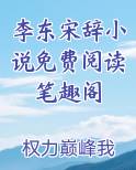李东是什么小说