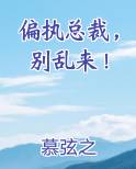 偏执总裁，别乱来！