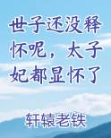 世子还没释怀呢，太子妃都显怀了免费小说