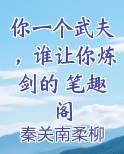 你一个武夫，谁让你炼剑的 笔趣阁小说全集