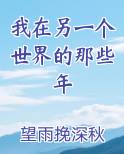我在另一个世界的那些年