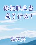你把职业当成了什么！