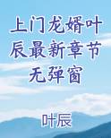 上门龙婿叶辰最新章节无弹窗