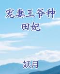 宠妻王爷种田妃