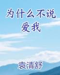 为什么不说爱我小说