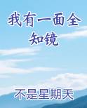 我有一面全知镜小说免费阅读
