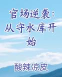 官场逆袭：从守水库开始