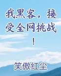我黑客，接受全网挑战！小说全集