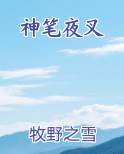 神笔夜叉排行榜完结版