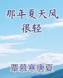那年夏天风轻轻吹过耳边是什么歌曲