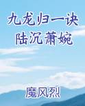 九龙归一诀免费阅读
