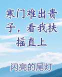 寒门难出贵子，看我扶摇直上