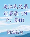 与江氏兄弟记事录（NP，高H）小说全文免费阅读