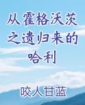 从霍格沃茨之遗归来的哈利