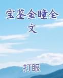 宝鉴金瞳全文