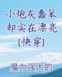 小炮灰蠢笨却实在漂亮[快穿]