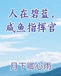 碧蓝航线咸鱼指挥官