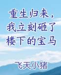 重生归来，我立刻砸了楼下的宝马小说全集