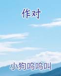 作对小说